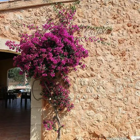 Holiday home Casa Calendula
